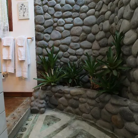 Tierra Magica B&B And Art Studio San Jose  Exterior photo