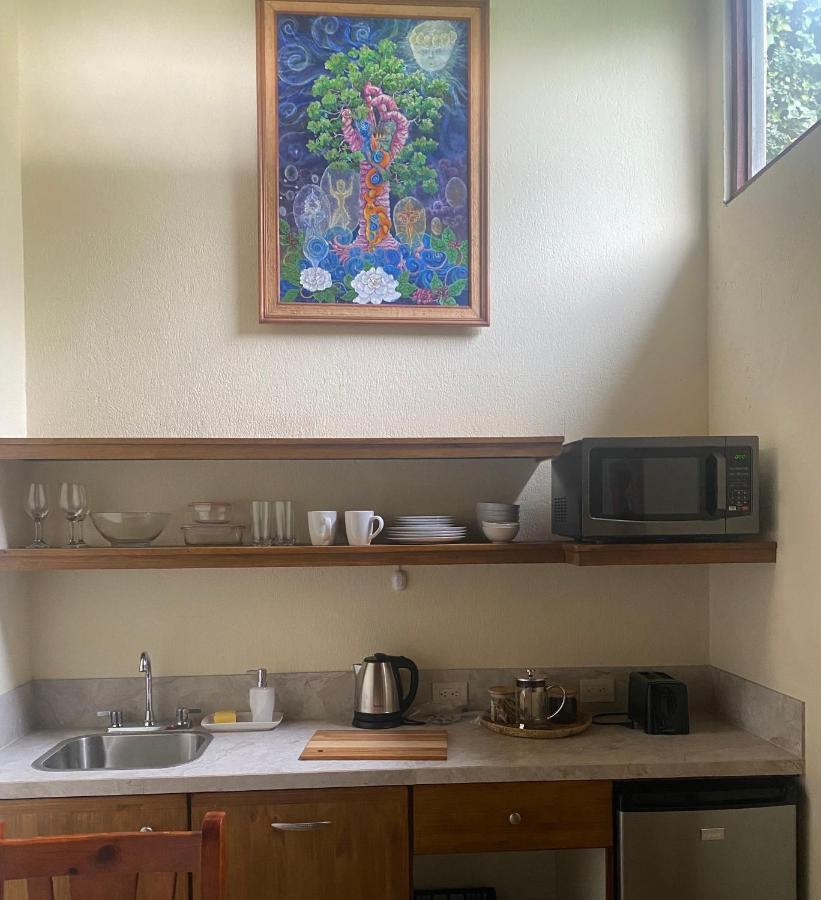 Tierra Magica And Art Bed & Breakfast San José