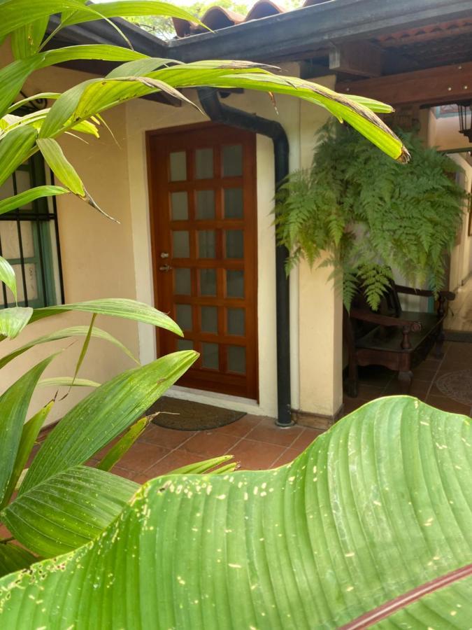 Tierra Magica And Art Bed & Breakfast
